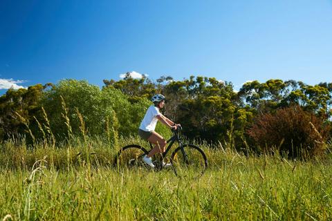 Hamilton to Tarrington Bike Trail