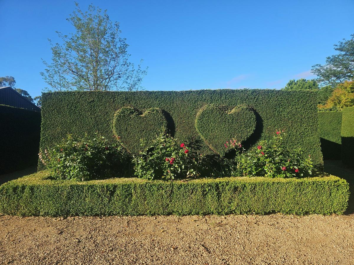 High Country Estate - Hedge Maze, Gardens, Cafe and Gallery