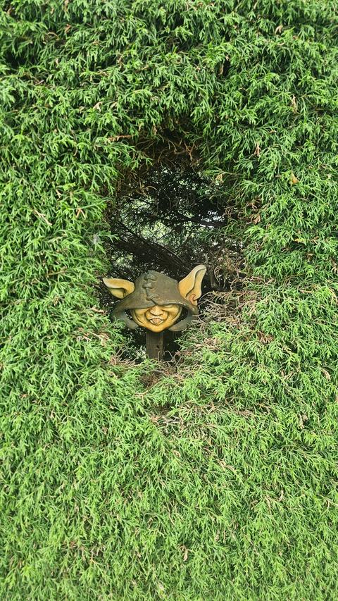 High Country Estate - Hedge Maze, Gardens, Cafe and Gallery