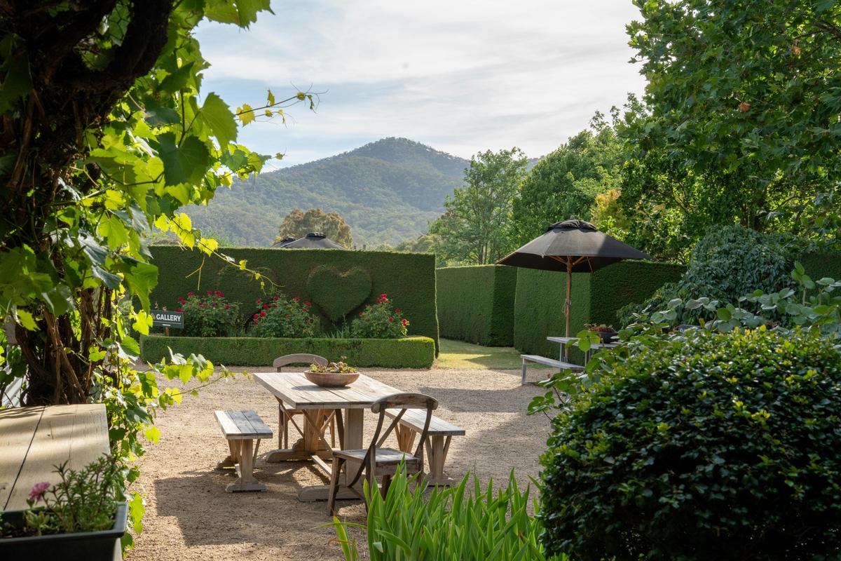Garden view