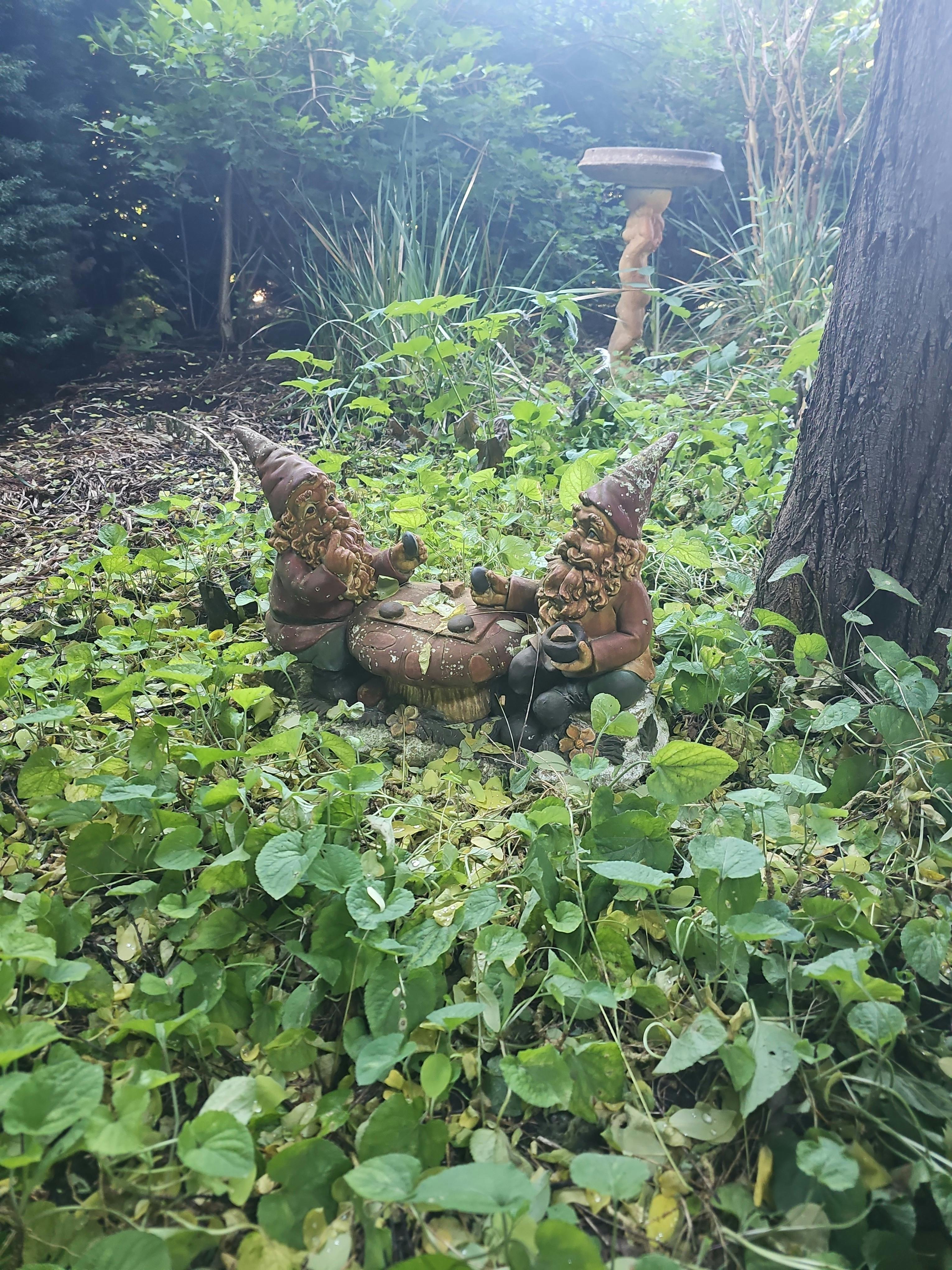 Gnomes in a Garden setting