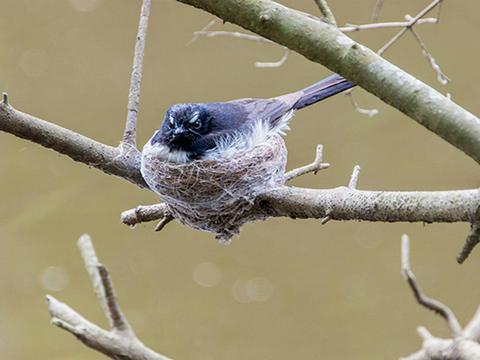 Halfway Point picnic area