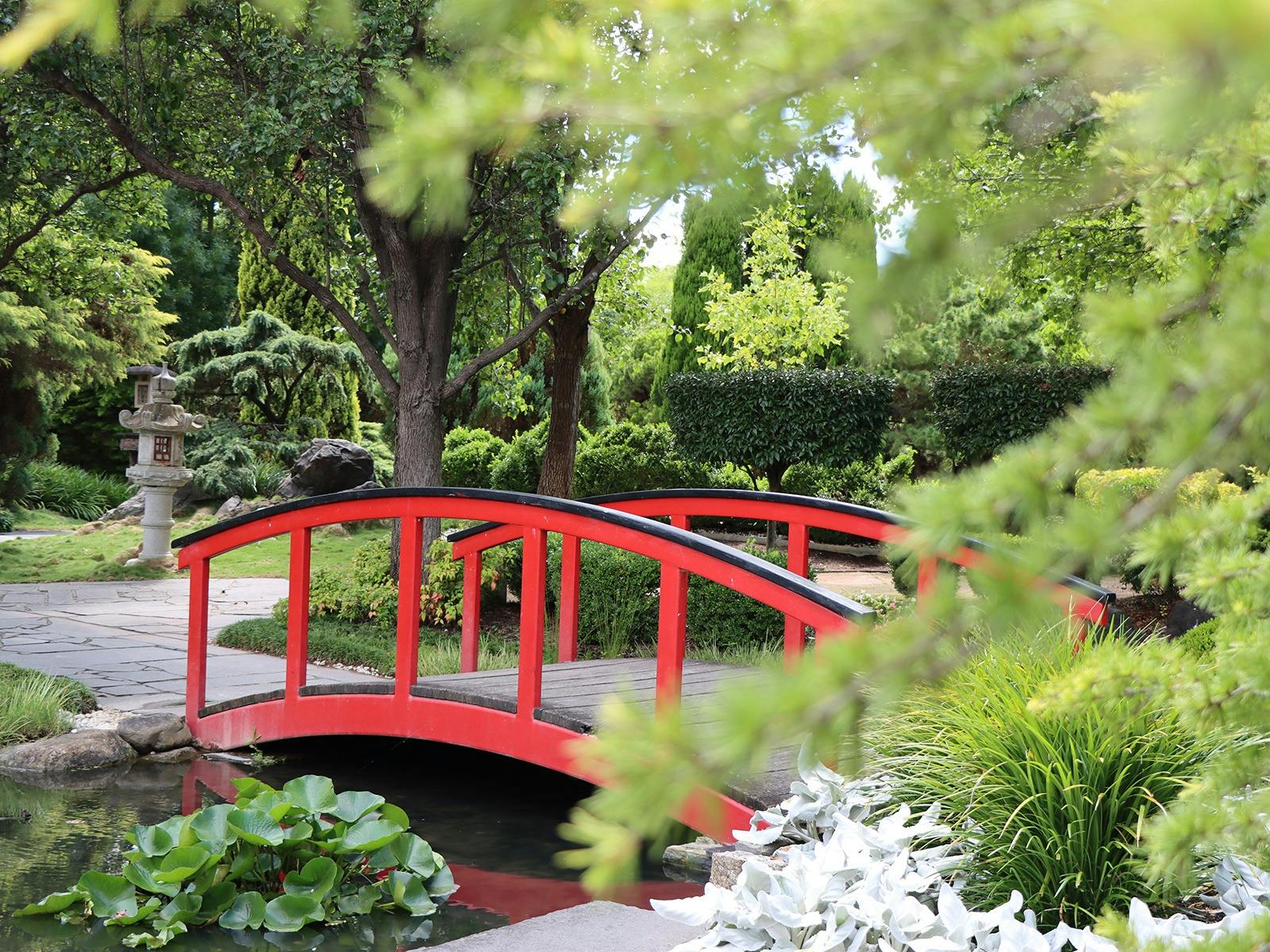 Bridge in the Oriental Garden