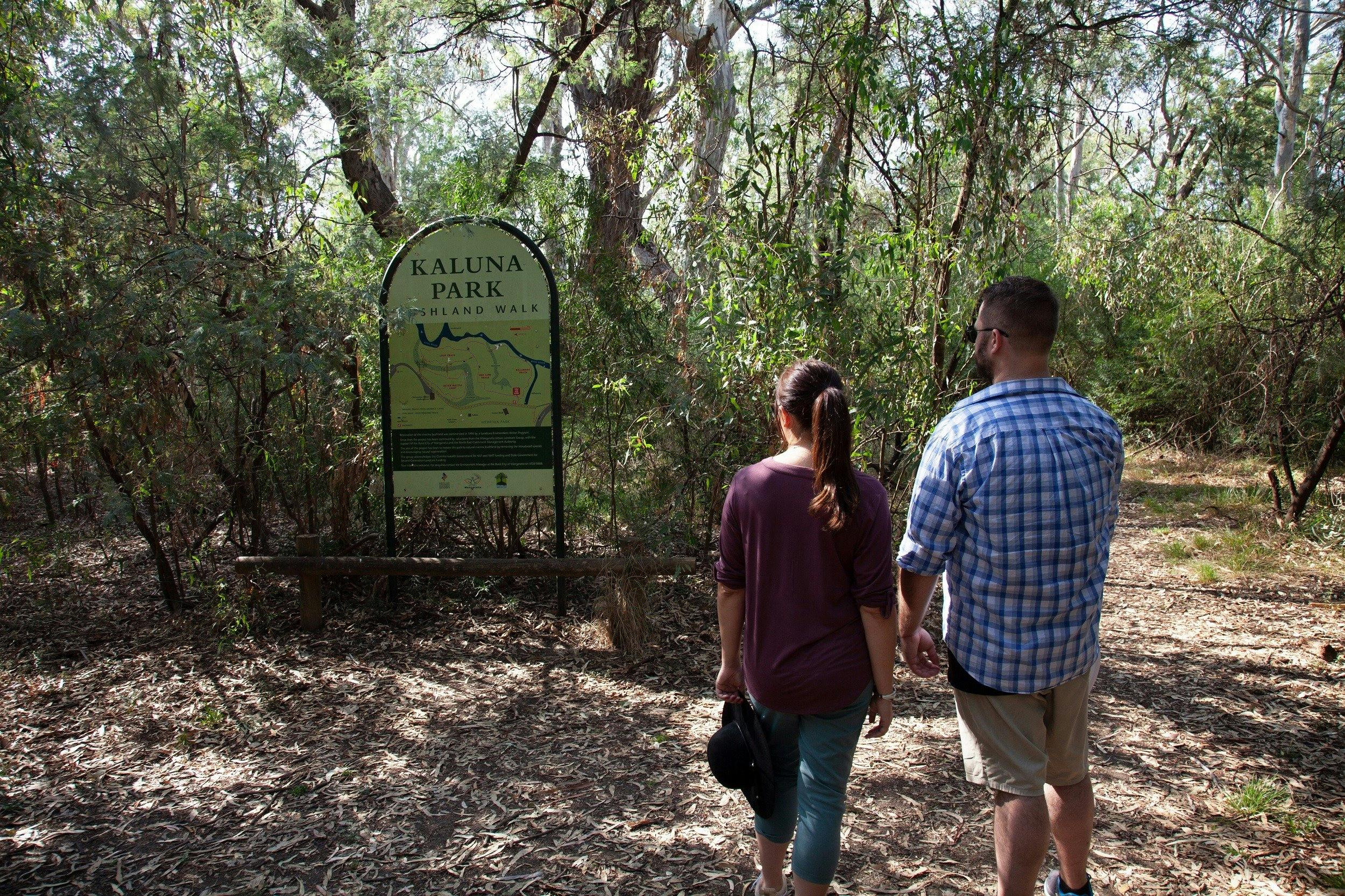 Bushland Walk in the heart of the Wangaratta CBD
