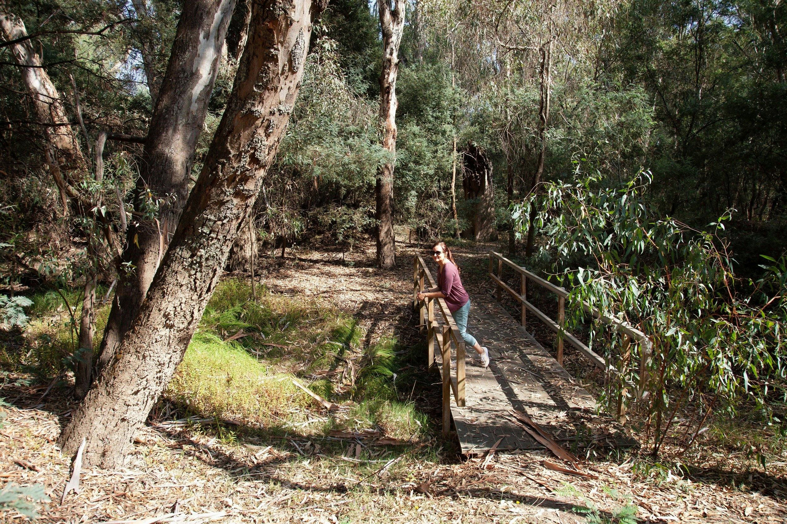Bushland walking track in the heart of Wangaratta