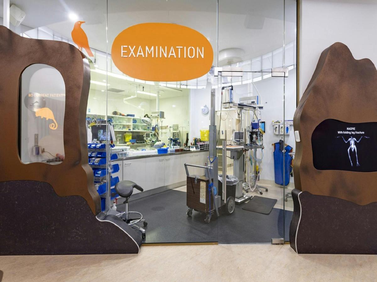 Australian Wildlife Health Centre Healesville Sanctuary