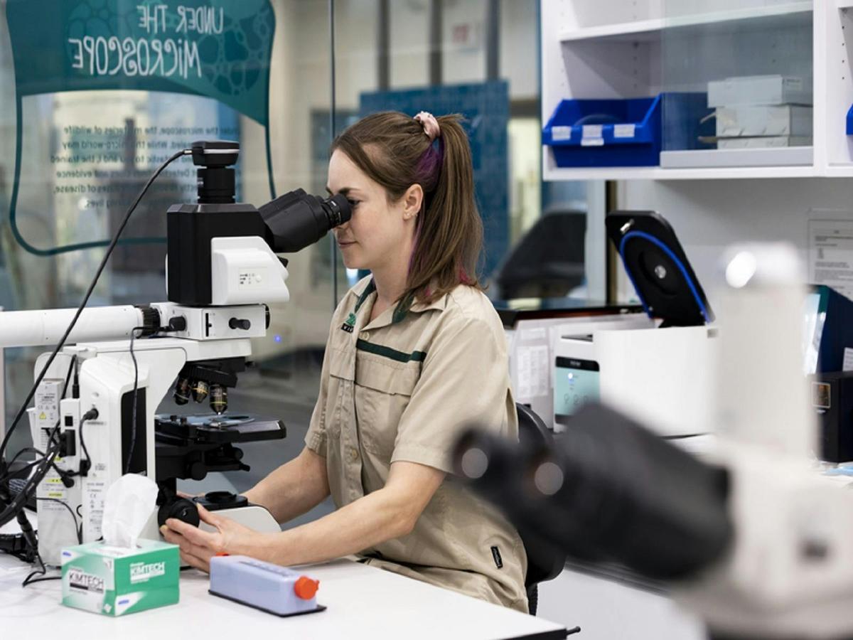 Australian Wildlife Health Centre Healesville Sanctuary