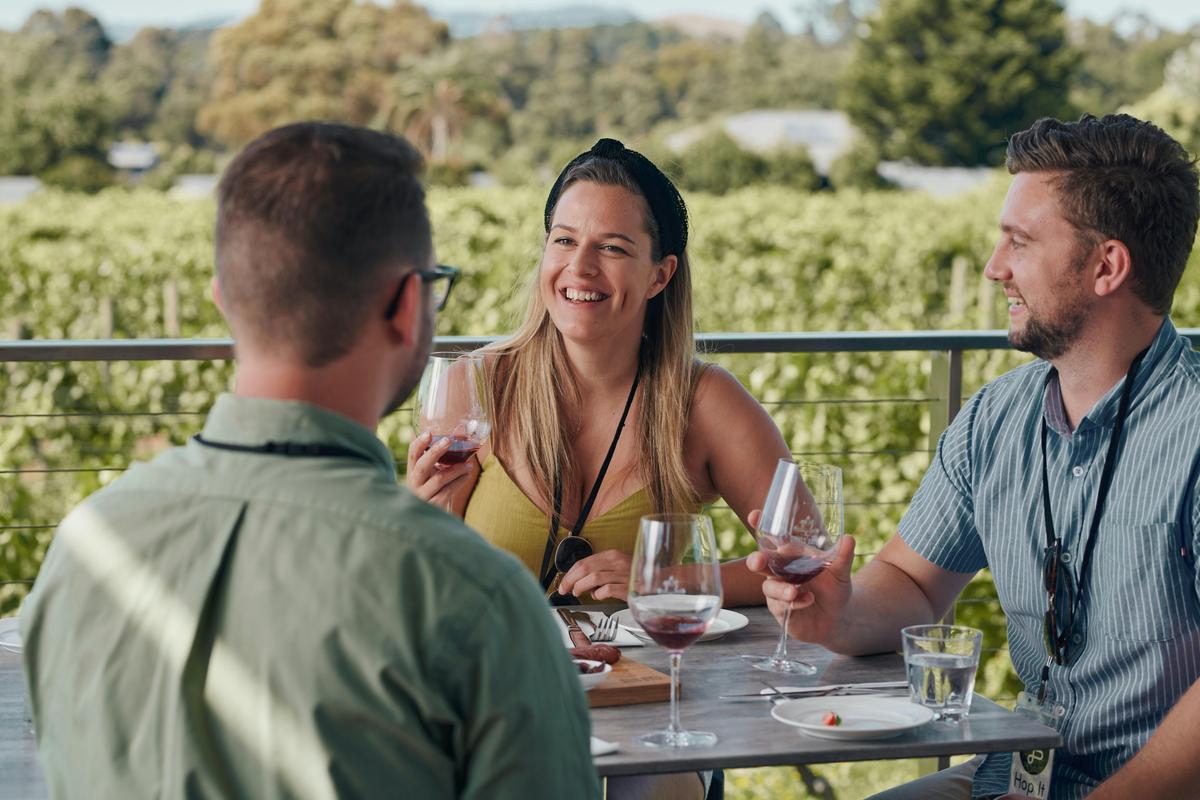 Friends drinking wine and eating food