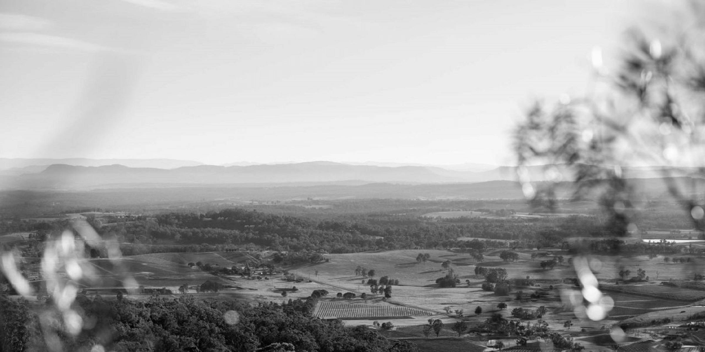 Preserving history: Take a deep dive into our new Hunter Valley Heritage Cairn Trail