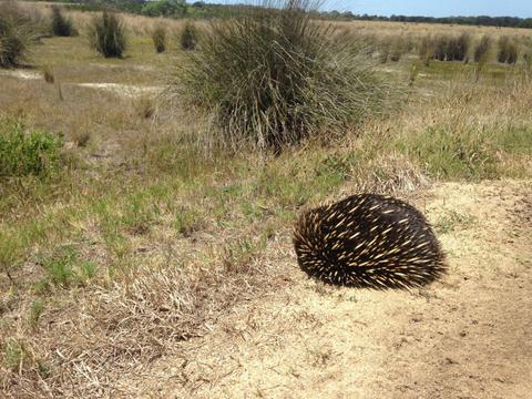 Jack Smith Lake State Game Reserve