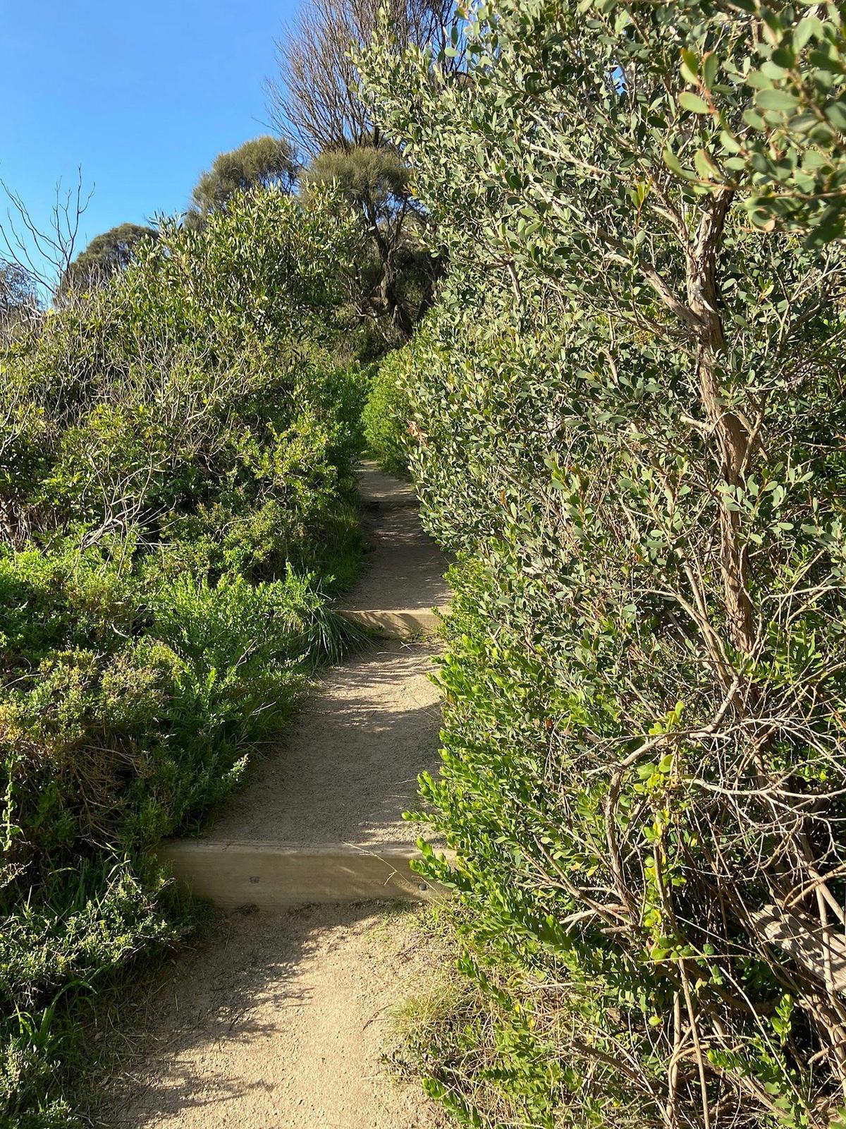 Hawker Beach, Mount Martha