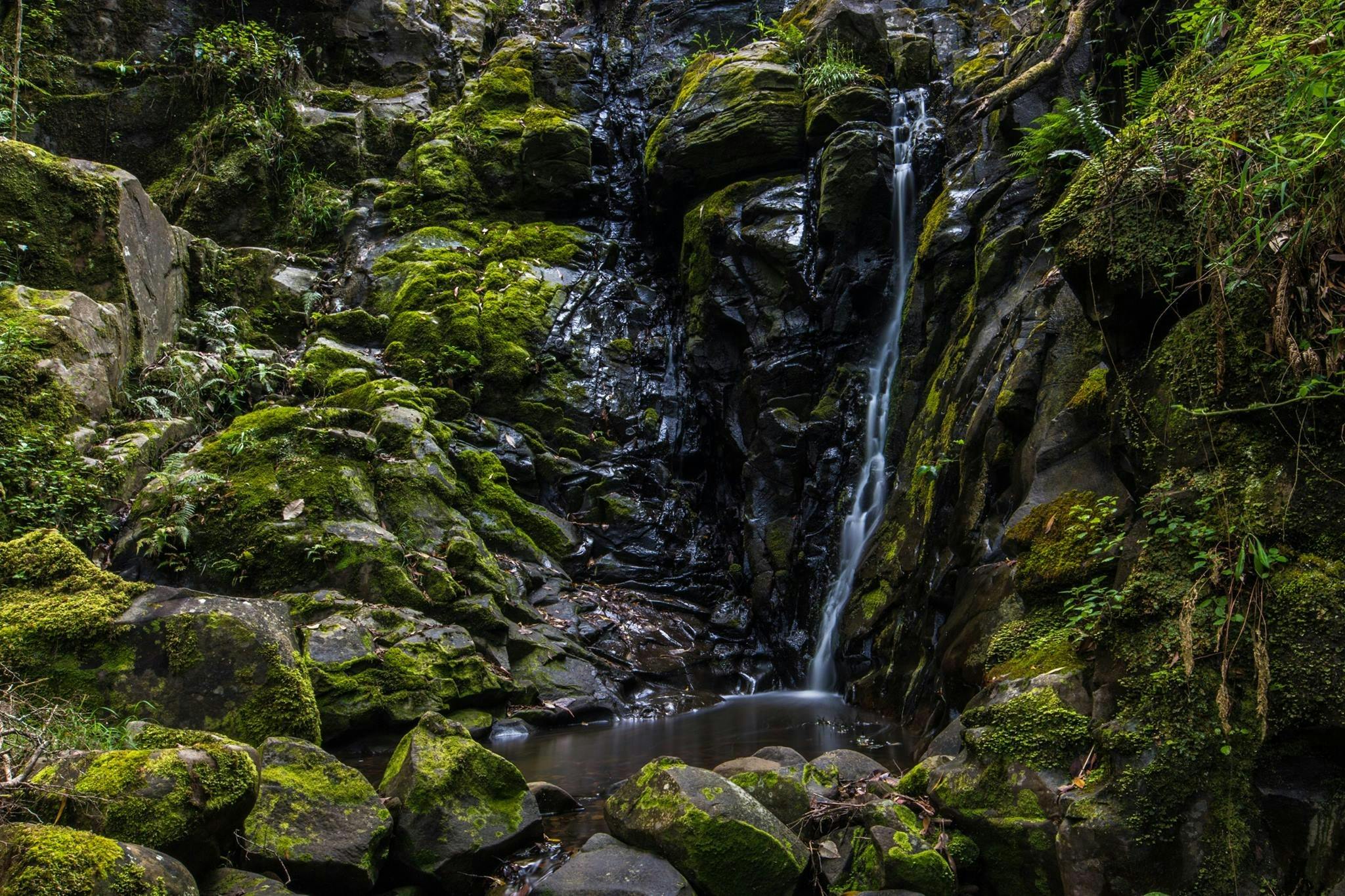 King Parrot Cottages waterfall