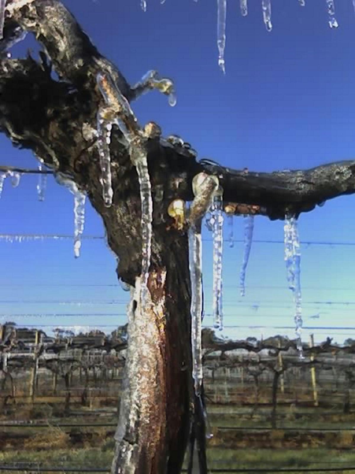 Heathcote Winery