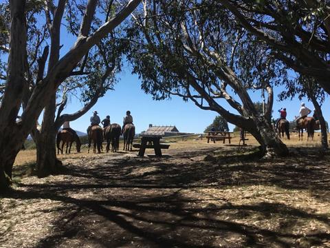 High Country Scenic Tours