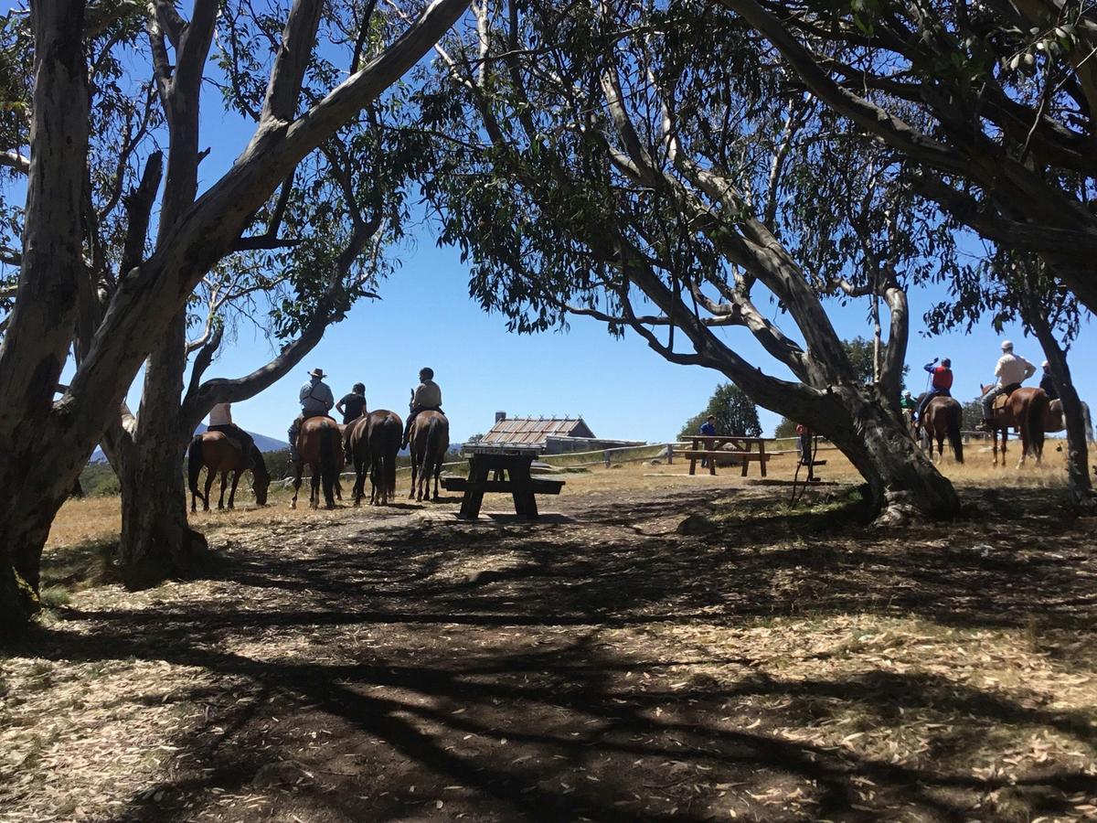 Craig’s Hut