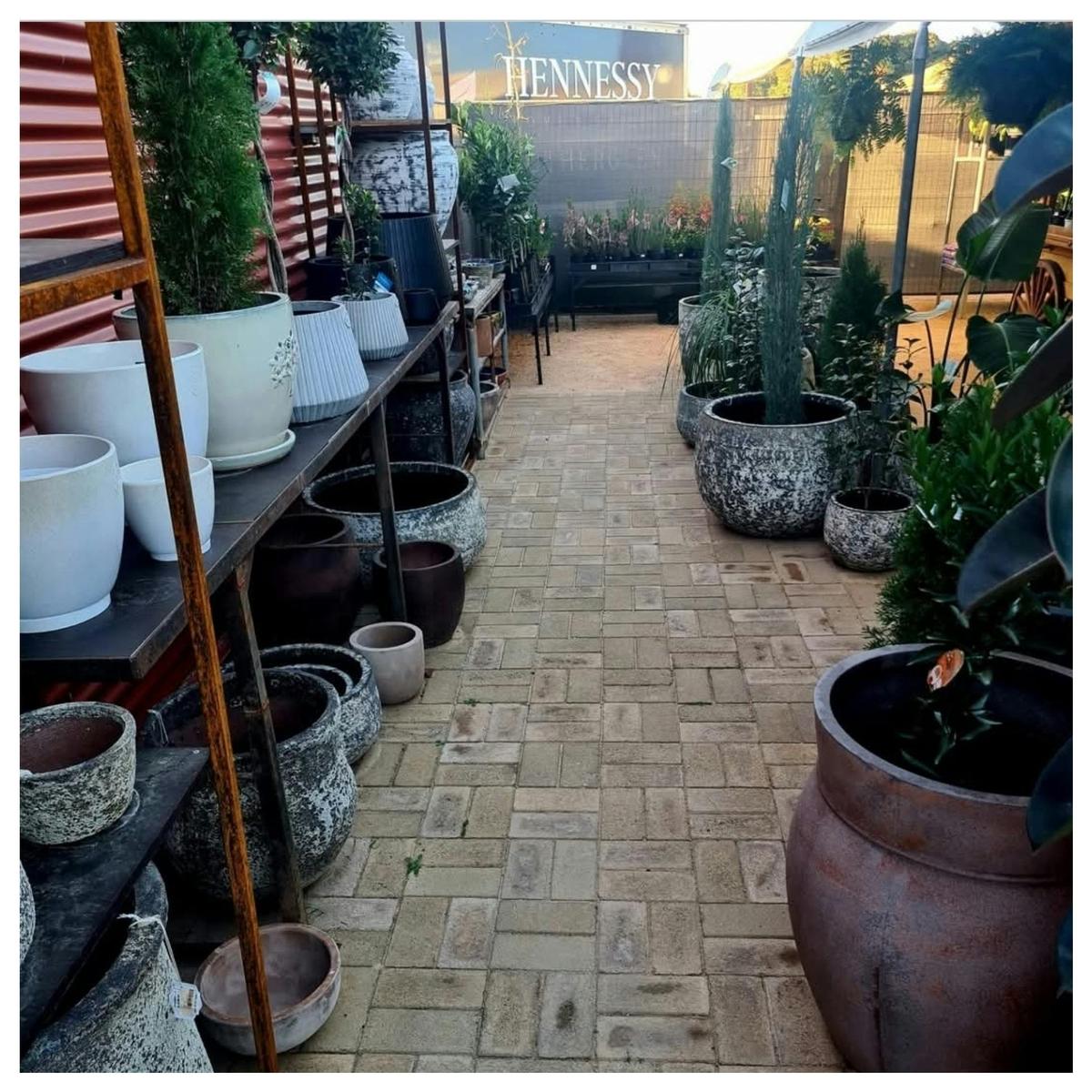 Pot planters