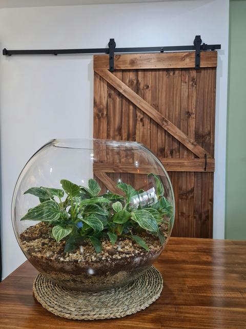 Hennessy Home and Garden