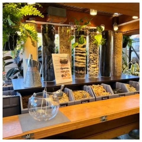 Hennessy Home and Garden