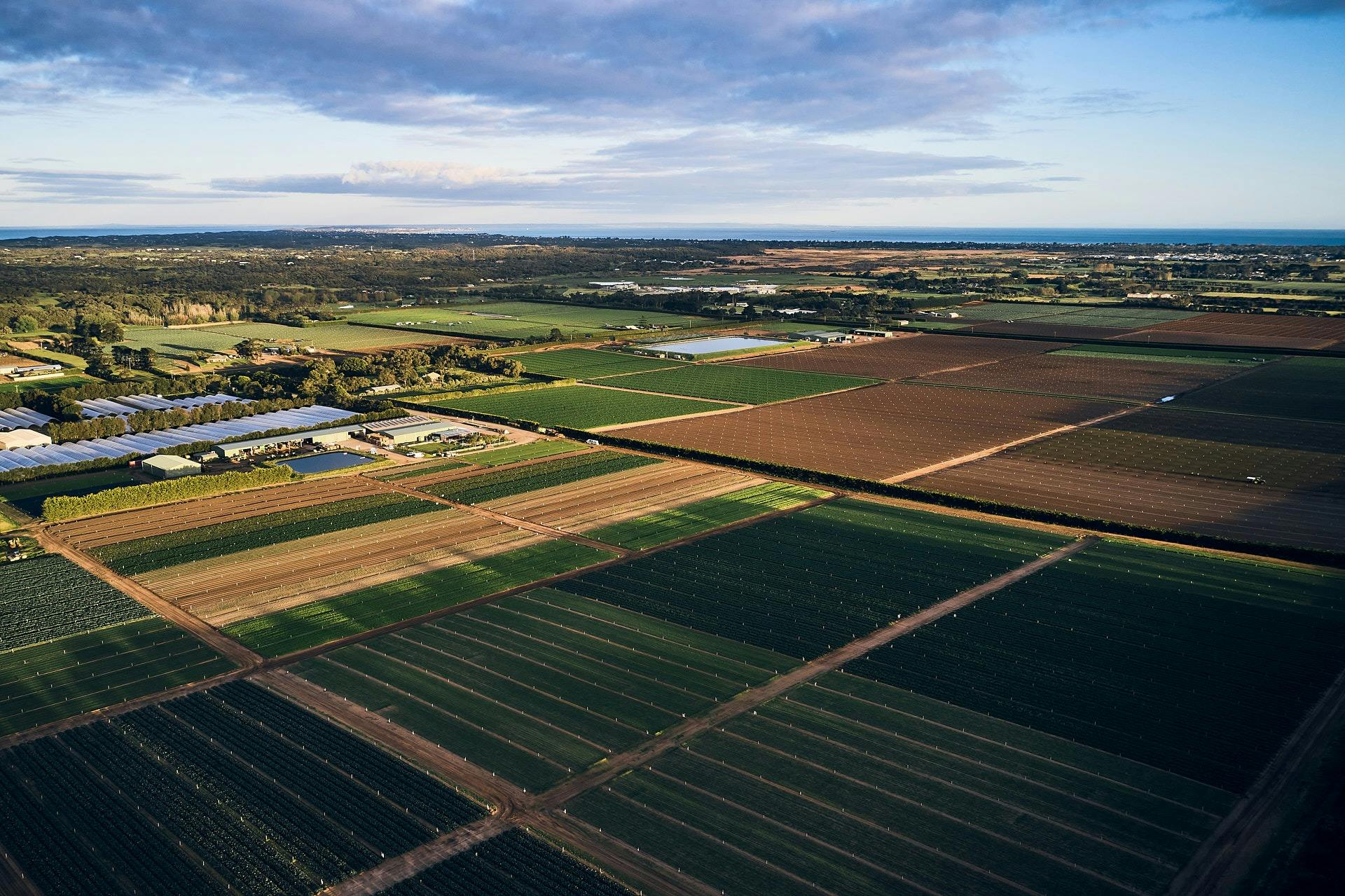 Hawkes Farm and the view to Port Philip Bay