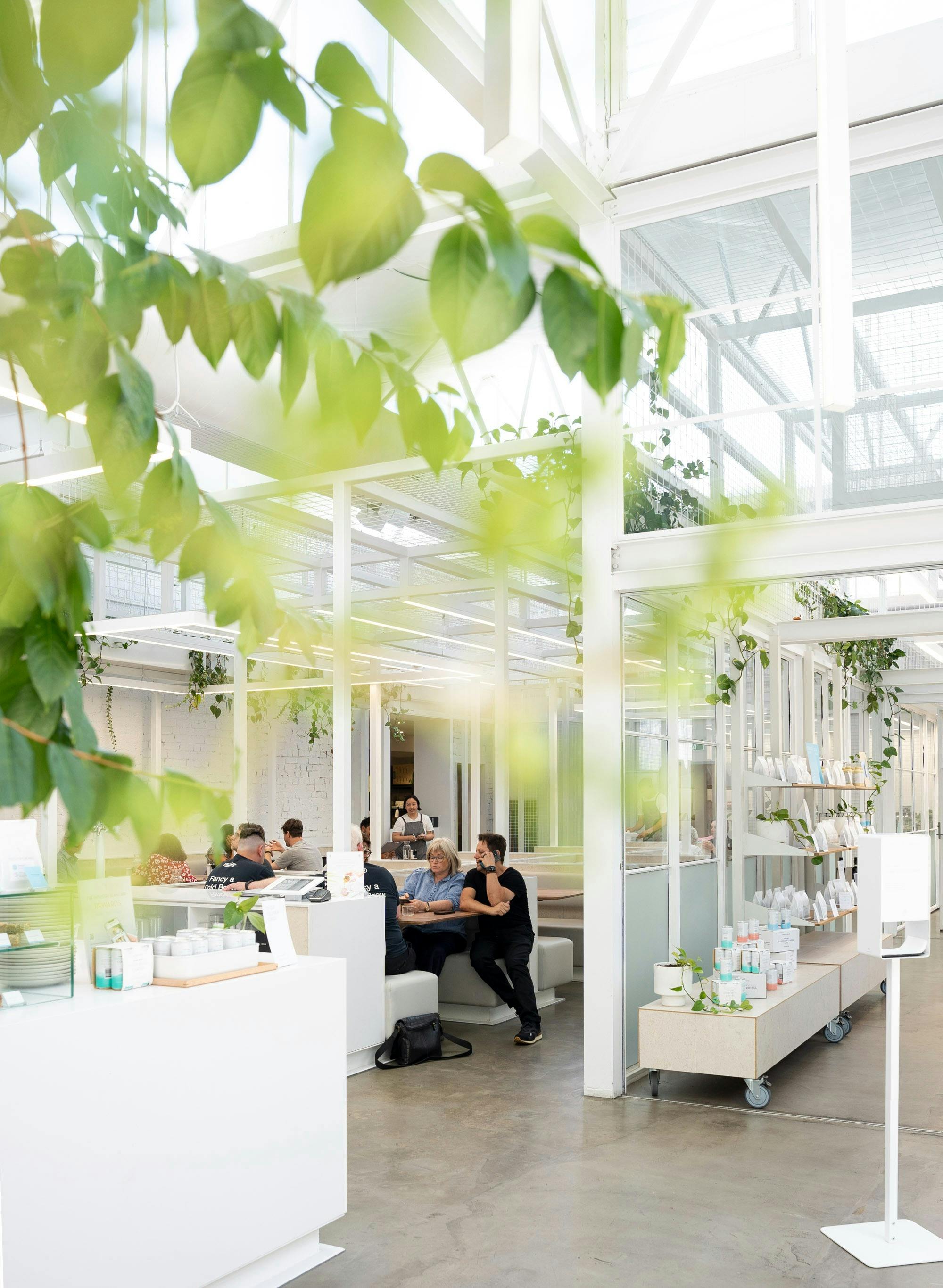 Industry Beans Fitzroy Cafe