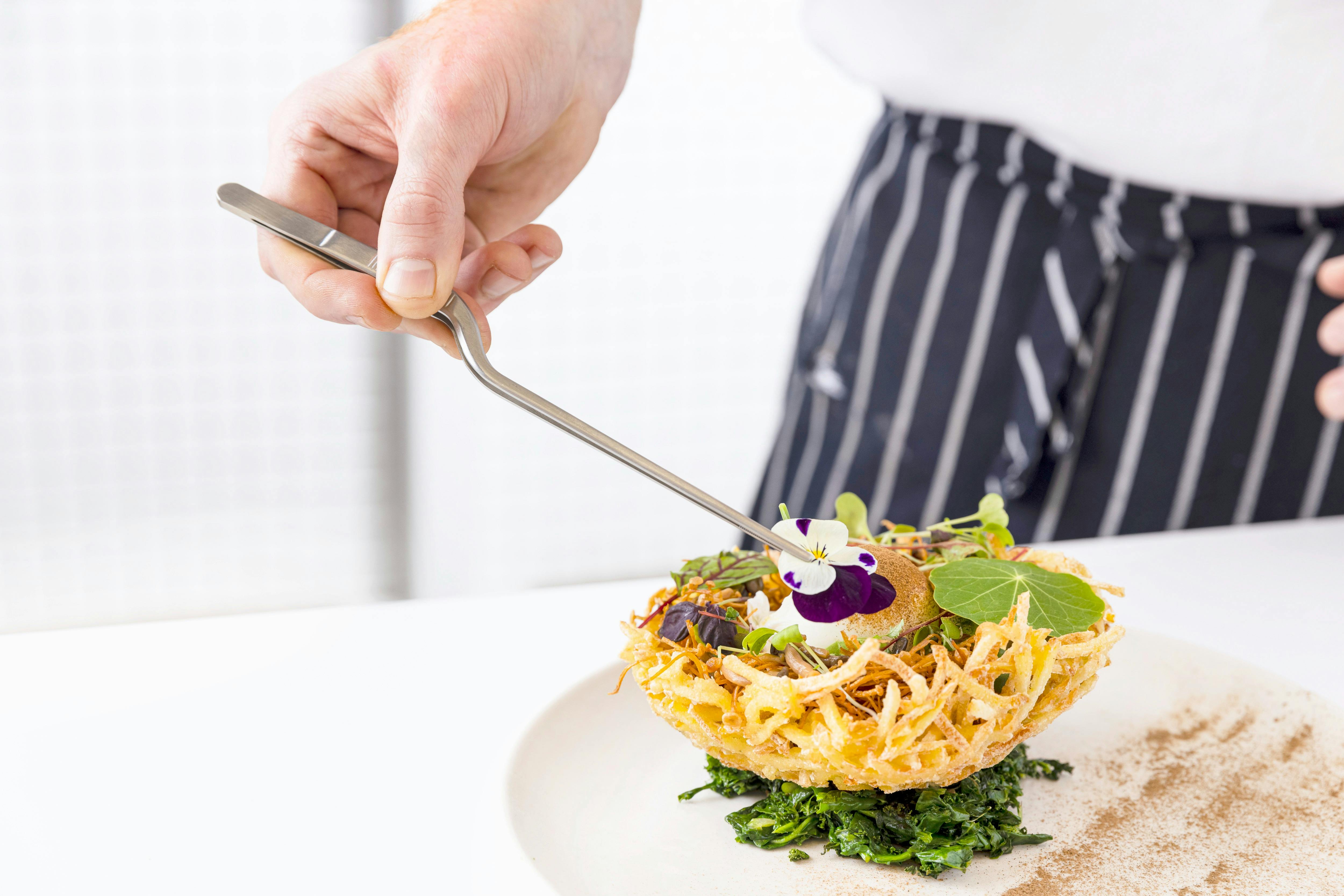 Industry Beans Porcini Nest