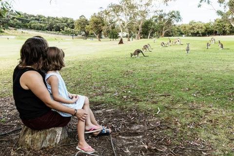 anglesea-golf-club-kangaroo-tour