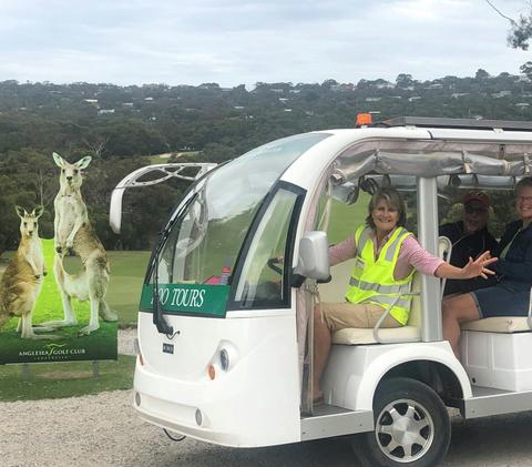 Kangaroo Tours at the Anglesea Golf Club