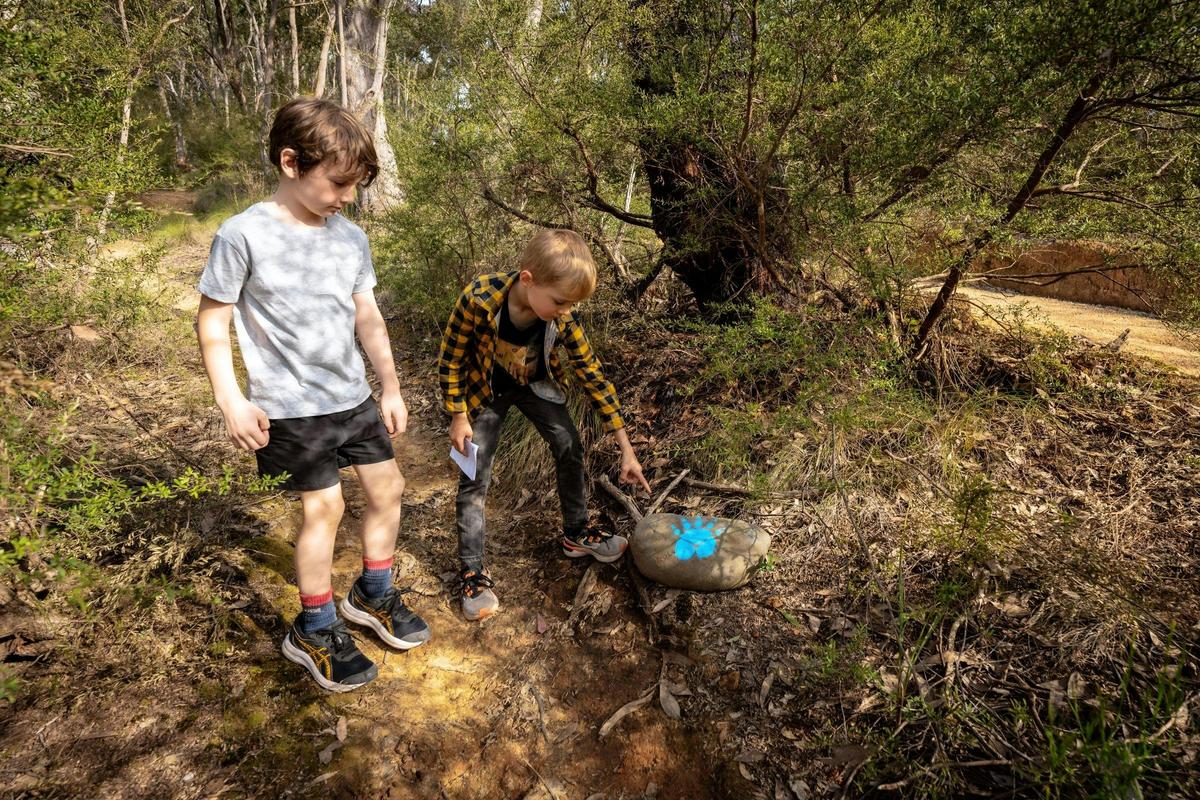 Jamieson Paw Prints Walk