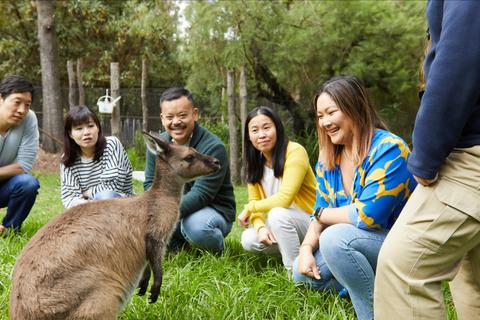 Healesville