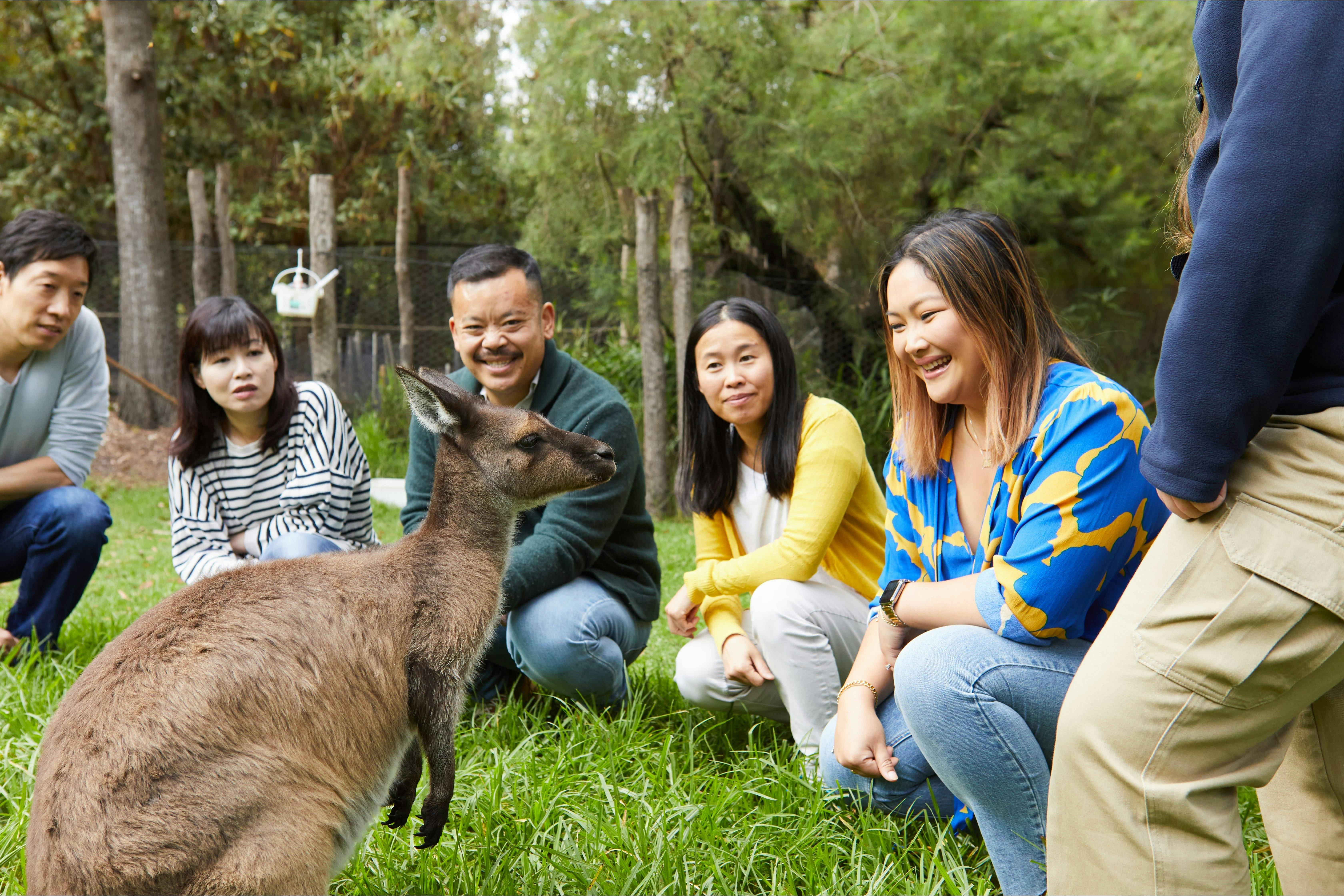 Healesville Sanctuary