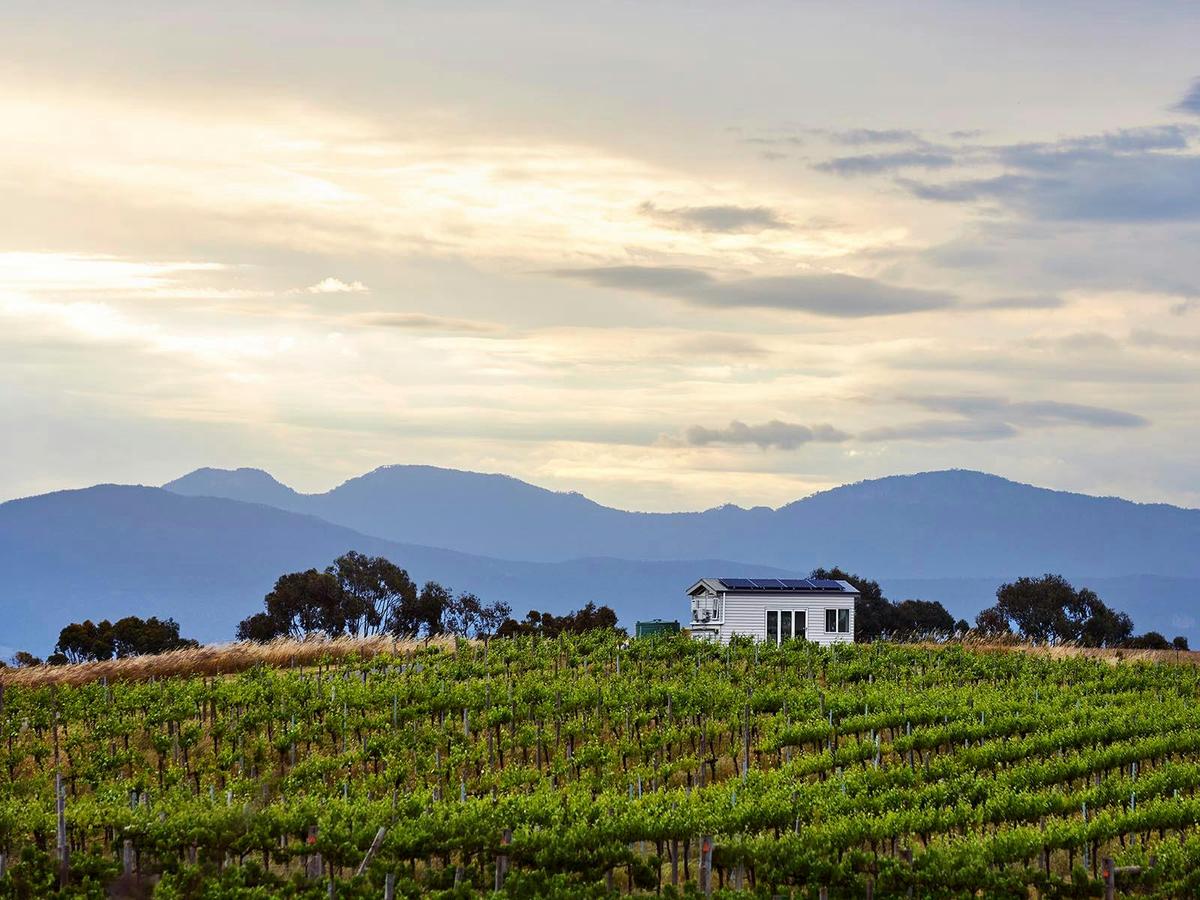 Hounds Run Vineyard and Tiny House with the Grampians in the background