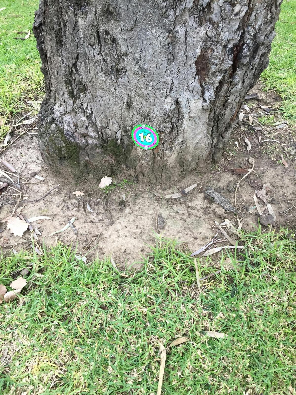 Hidden Creature Disc