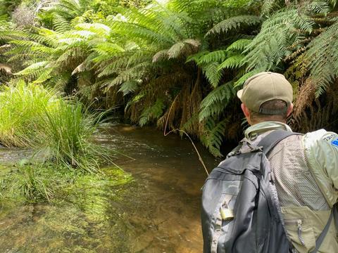 A Morning in the Mitta - Half Day Tours