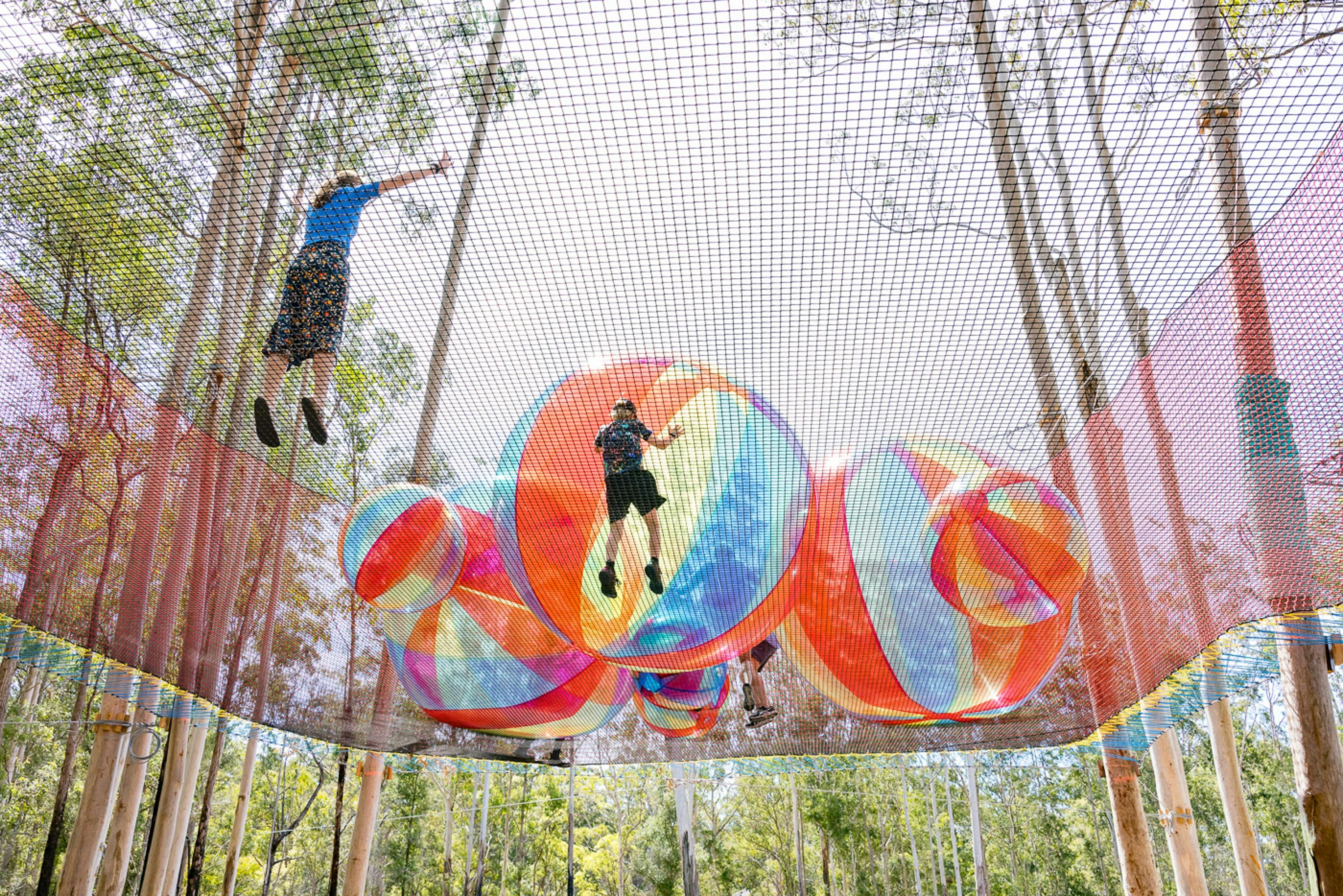 Fun in the trees at WildNets