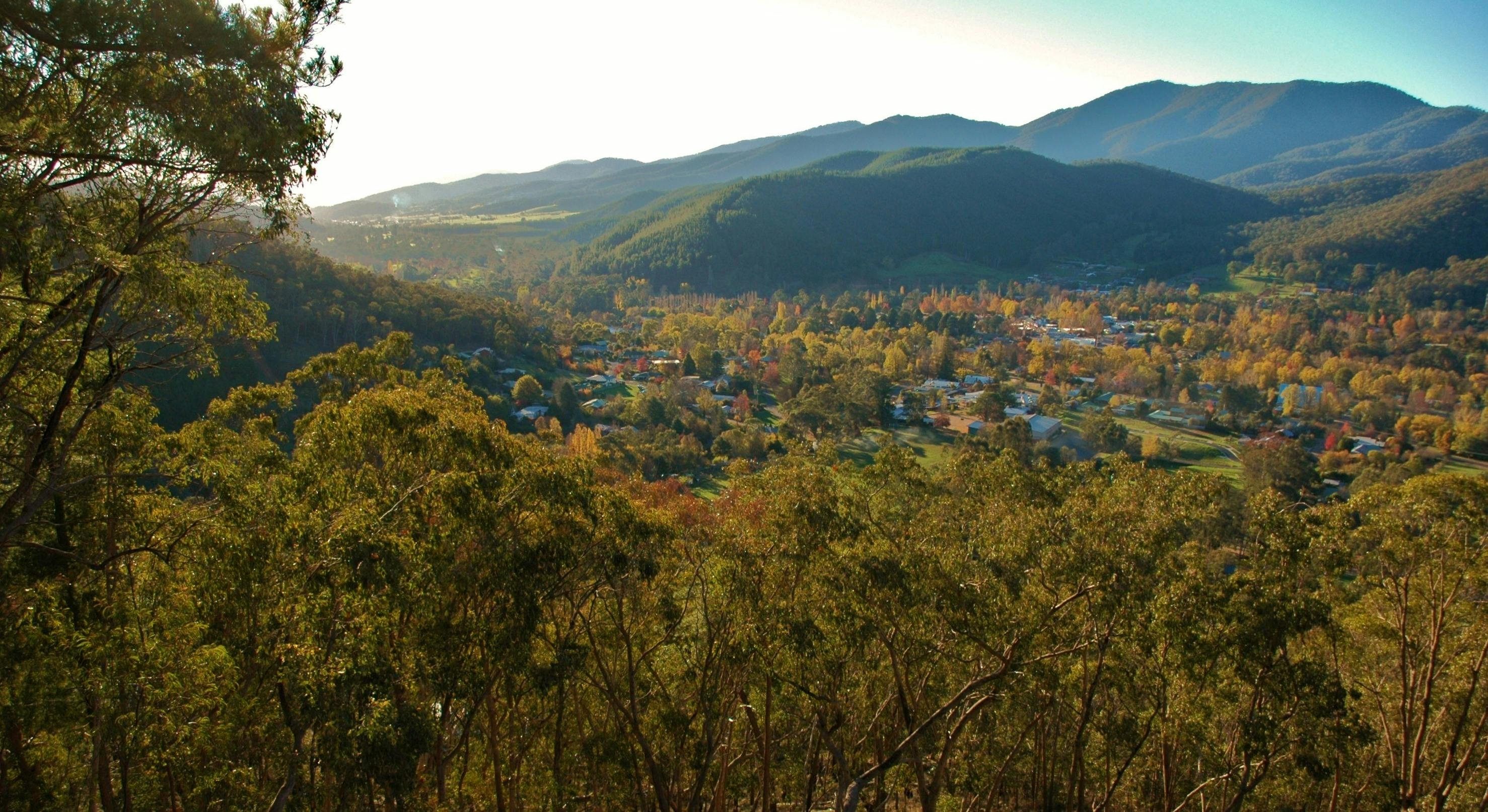 Huggins Lookout