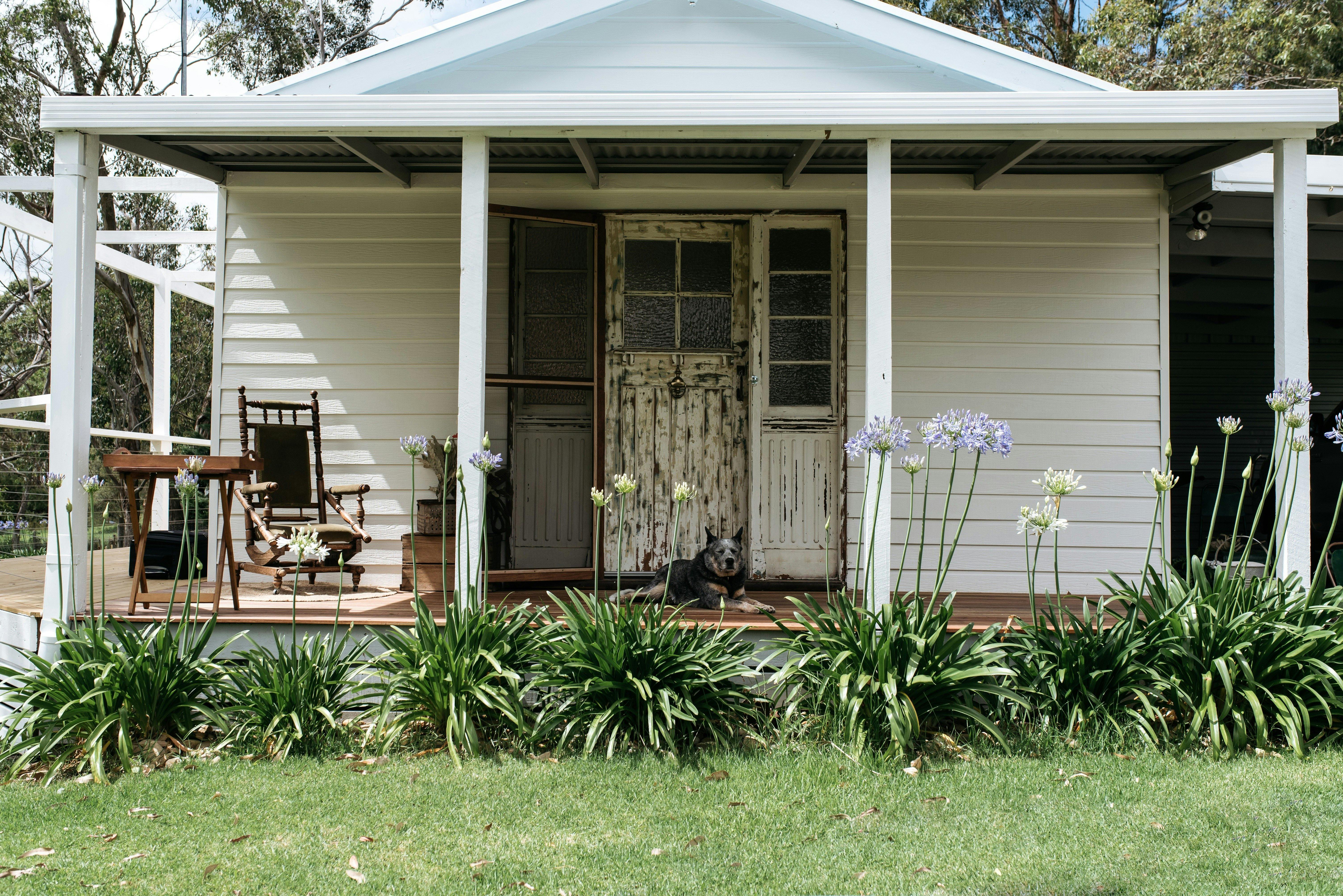 Entrance with Wombat ready to greet