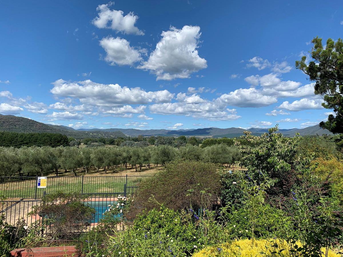 The View from Homestead Estate