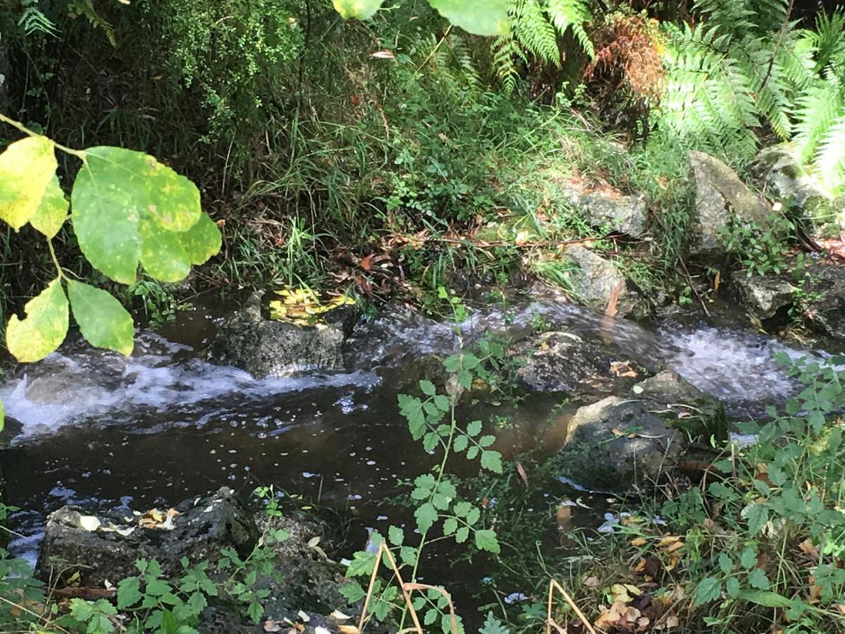Creek