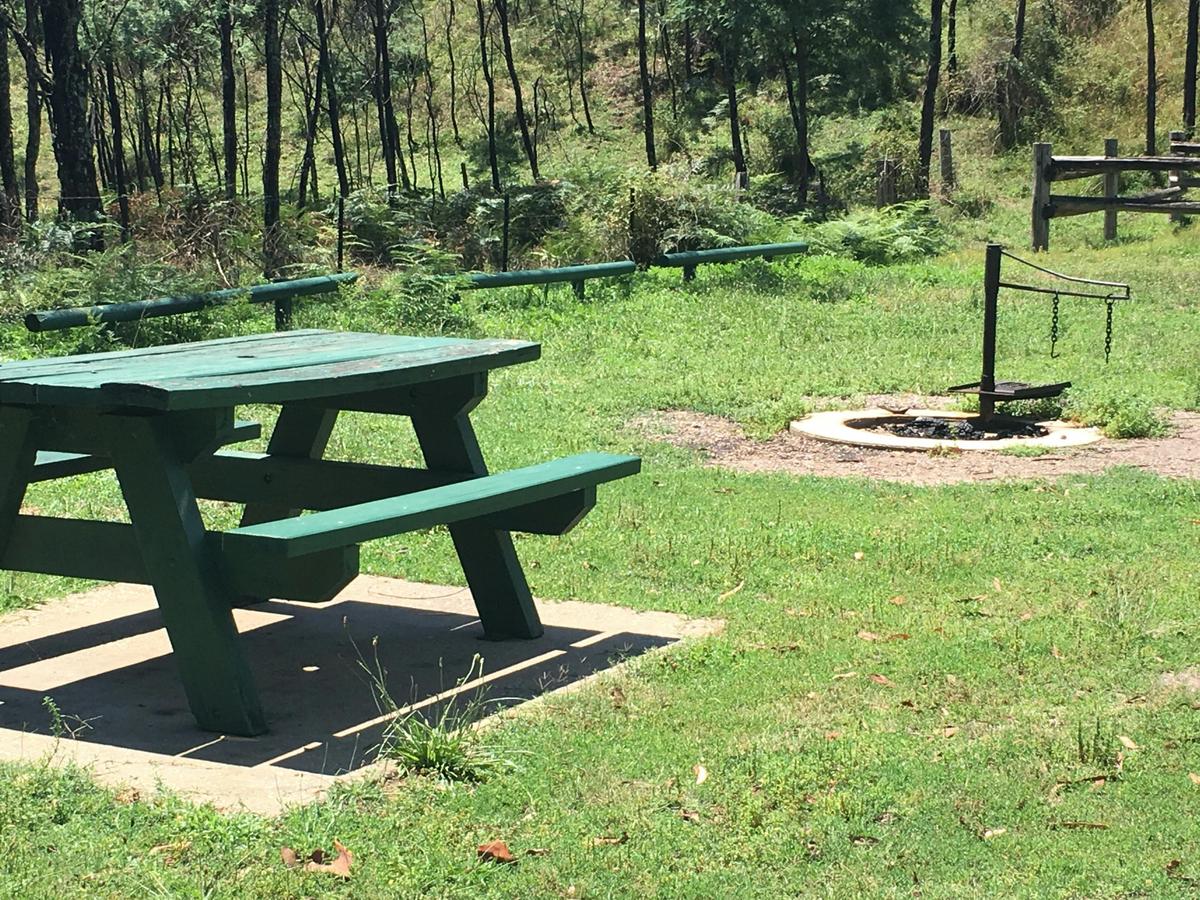 Picnic