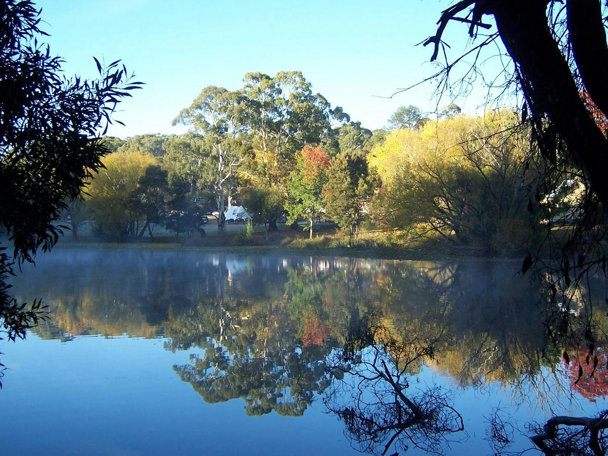 Peaceful setting