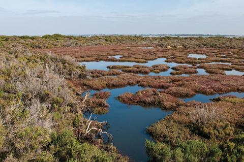 Jawbone Marine Sanctuary