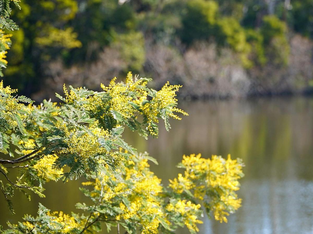 Jubliee Lake
