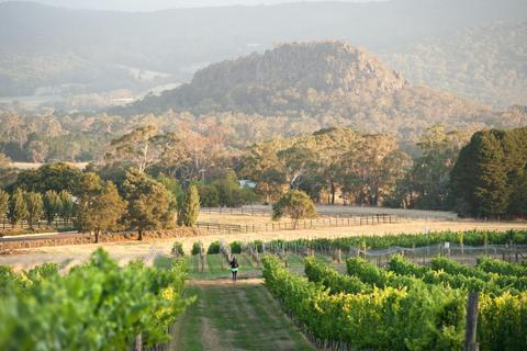 wineries by the hills of the Macedon Ranges