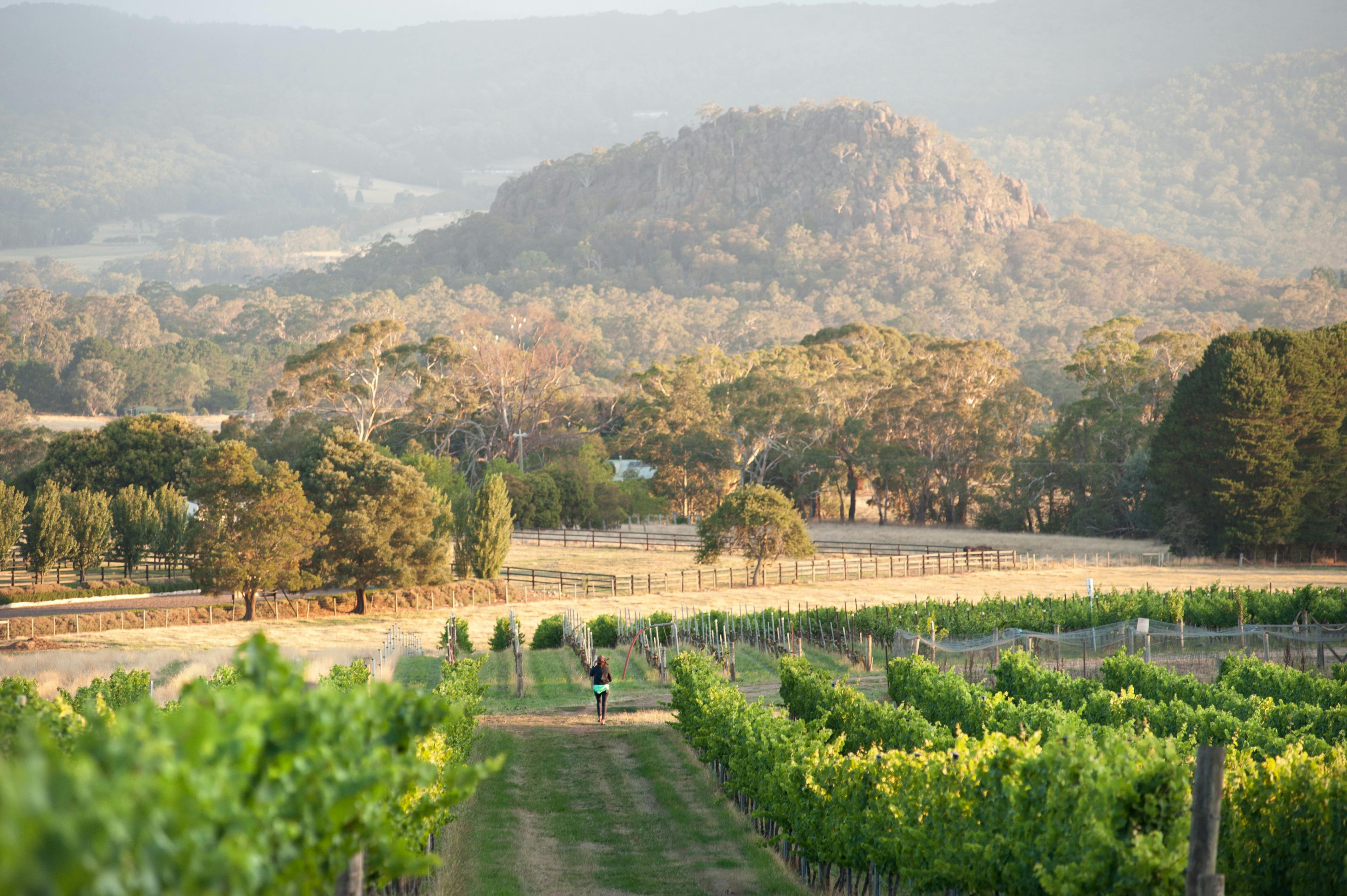 Hanging Rock Winery