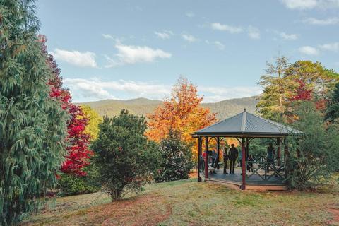 Jamieson Arboretum