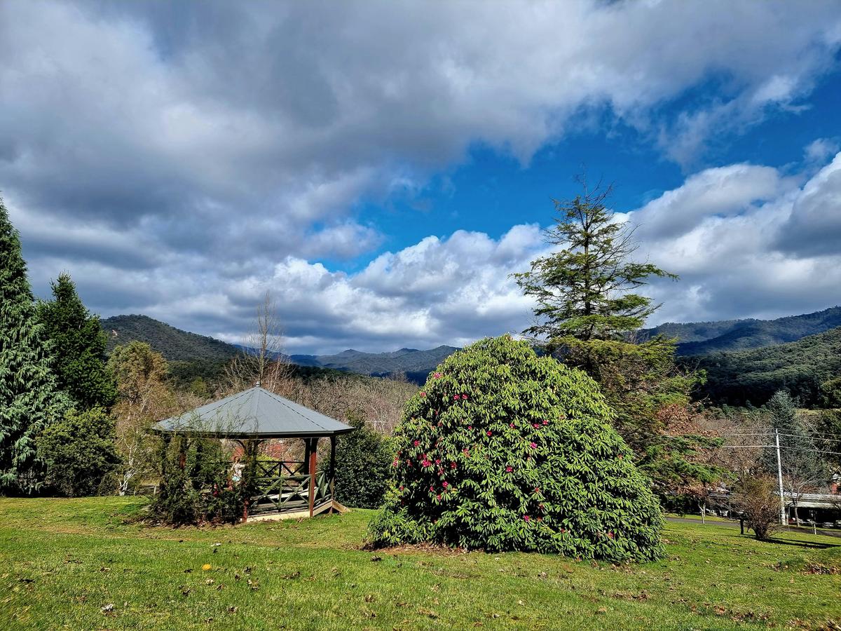 Jamieson Arboretum