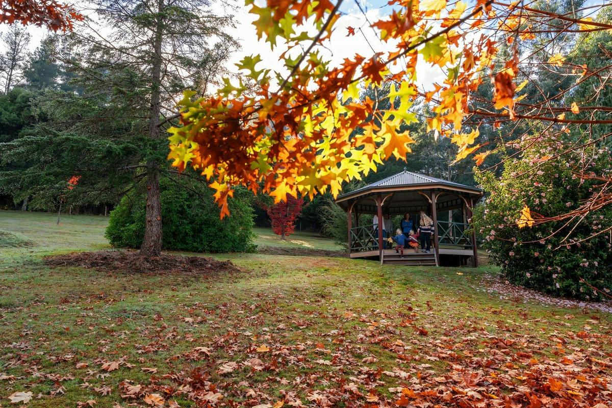 Jamieson Arboretum