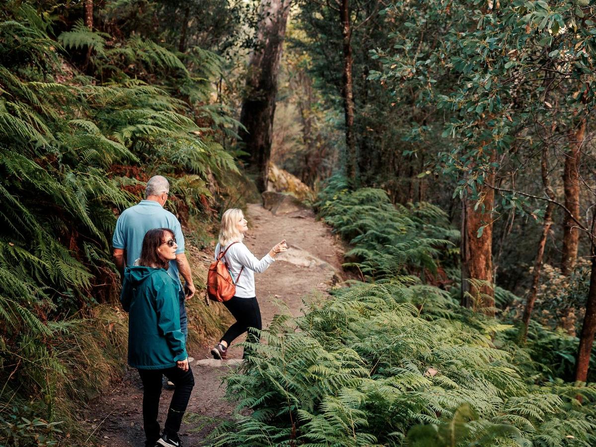 Eurobin Falls Walk