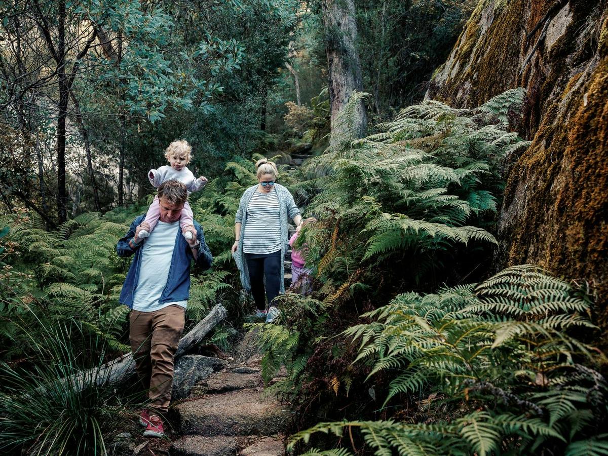 Eurobin Falls Walk