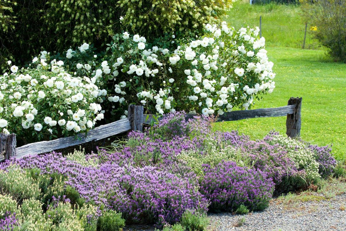 Kilmuir Country Retreat